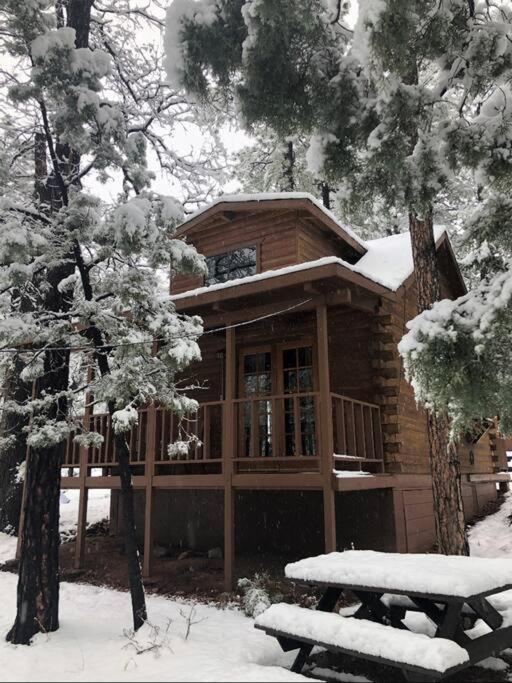 Forest Cabin 2 Birds Nest 패이슨 외부 사진